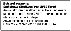 Textfeld: Beispielrechnung:  (bei einem Streitwert von 5000 Euro)  Anwaltskosten bei allgemeiner Beratung (mehr als eine Stunde): rund 250 Euro (Mindestkosten ohne zusätzliche Auslagen)  Anwaltskosten bei Teilnahme am Gerichtsverfahren etc.: rund 1500 Euro